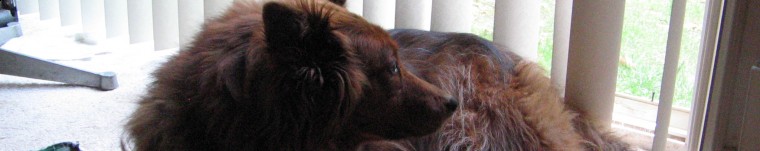 header image